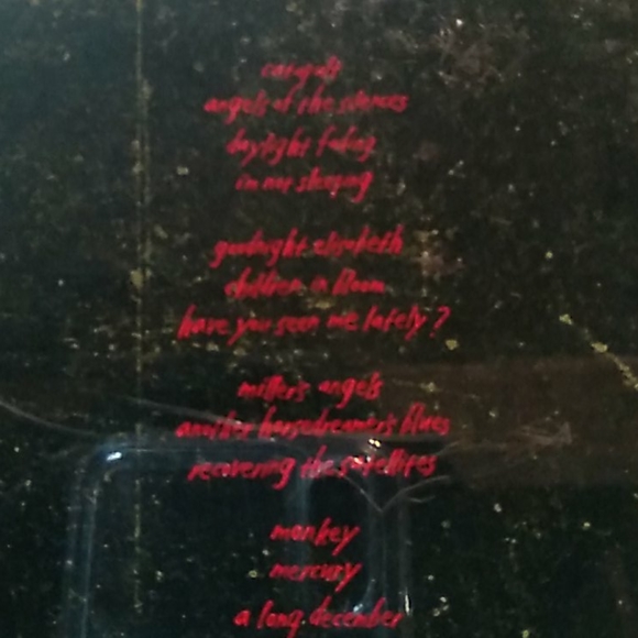 Counting crows, recovering the satellite - Picture 2 of 5